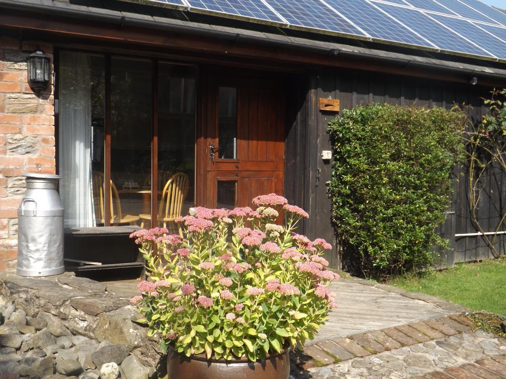 Irfon Cottage Builth Wells Eksteriør bilde